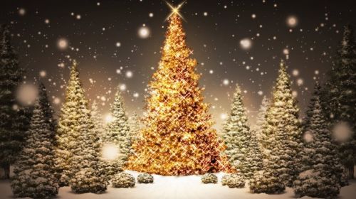 Glowing-Christmas-Trees_FullHDWpp.com_-728x409